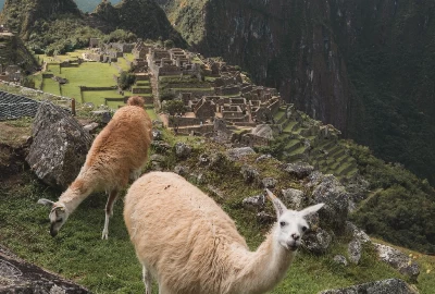 Unveiling the Hidden Treasures: Exploring the Attractions and Activities in Machu Picchu